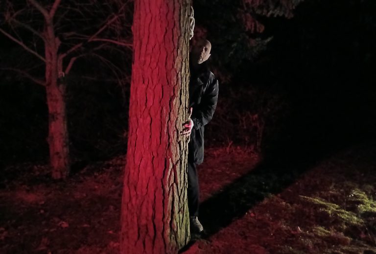 Neue Gruseltour ab Oktober 2025. Nosferatus Auferstehung